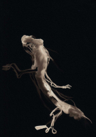 http://www.actionaqua.com/files/gimgs/th-114_20250325dji0001 invert.jpg